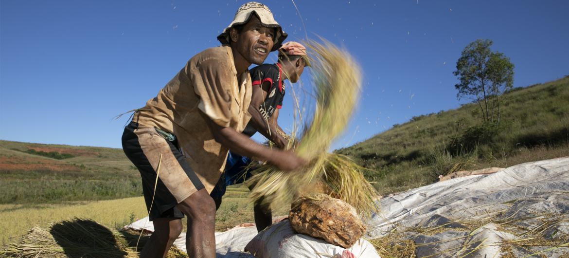 Cover By UN agencies warn of rising heat stress risks for workers worldwide