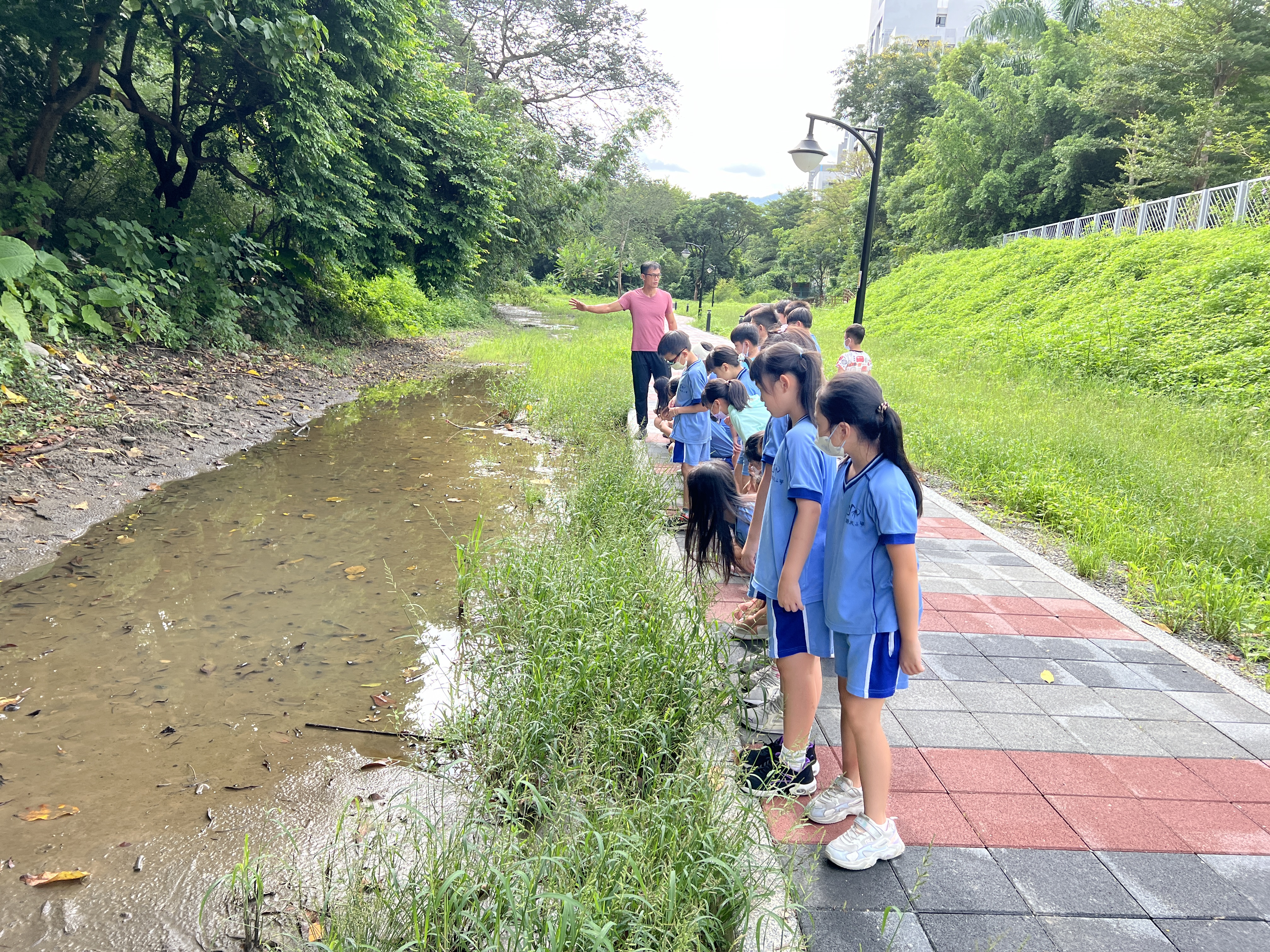 新北市三峽區北大國民小學_防災課程_建築結合課程-活用筏基雨水回收與滯洪池_圖片